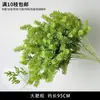 Plantas Verdes, Hierba de Junco, Hierba Bigote de Dragón, Fondo de Boda, Paisajismo de Ventana Floral, Flores Decorativas para Boda en Bosque Blanco y Verde