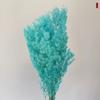 Flor Eterna Fluffy Factory Atacado Fluffy Flor Eterna Buquê de Flores Secas Acessórios de Decoração de Casa de Casamento