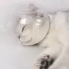 Nueva máscara de ojos transparente de Amazon para gatos, antimordeduras, antillamadas y antimordeduras, transpirable y de visión abierta.