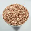 Arroz de Sorgo Glutinoso, Sorgo Vermelho Autêntico do Nordeste, Arroz de Sorgo Pegajoso Descascado, Arroz de Sorgo Puro Produzido na Fazenda para Cozinhar Mingau