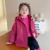 Cortavientos 3 en 1 para niña para otoño e invierno 2025, chaqueta acolchada nueva y elegante para bebés, ropa de abrigo de invierno para niños