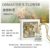 Aromaterapia Colgante Perfume para Coche Colgante para Coche Fragancia Ligera de Larga Duración Aceite Esencial Colgante para Coche Botella de Vidrio Colgante Tapa de Madera