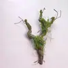 Videira Murcha Galho de Videira Flor Artificial Decoração Ramo Tronco Ramo Musgo Musgo Planta Trepadeira de Interior Pendurado na Parede Planta Verde