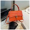 Bolso Pequeño con Hebilla Cuadrada 2023 Otoño Estilo Occidental Nueva Moda Estilo Coreano Patrón Piedra Bolso de Hombro Color Sólido Simple Bolso Cruzado para Mujer