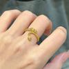 El mismo anillo de cola oscilante de dragón de oro de arena vietnamita Anillo de pareja animal del zodíaco dragón Año del dragón Anillo par Estilo caliente de Douyin
