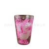 Taza de Doble Capa de Vidrio de Borosilicato Resistente al Calor Creativa Transfronteriza Taza de Flores Secas Taza para Desayuno Leche Café Taza para Beber para el Hogar
