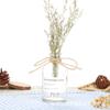 Estilo Escandinavo Vaso Seco de Vidro Simples Vaso Hidropônico Vaso Marrom Frasco de Reagente Marrom Frasco Transparente para Aromaterapia