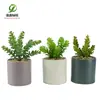Simulación planta suculenta súper grande tamaño pequeño suculenta bonsái planta verde flor de plástico en maceta micro paisaje con pared vegetal