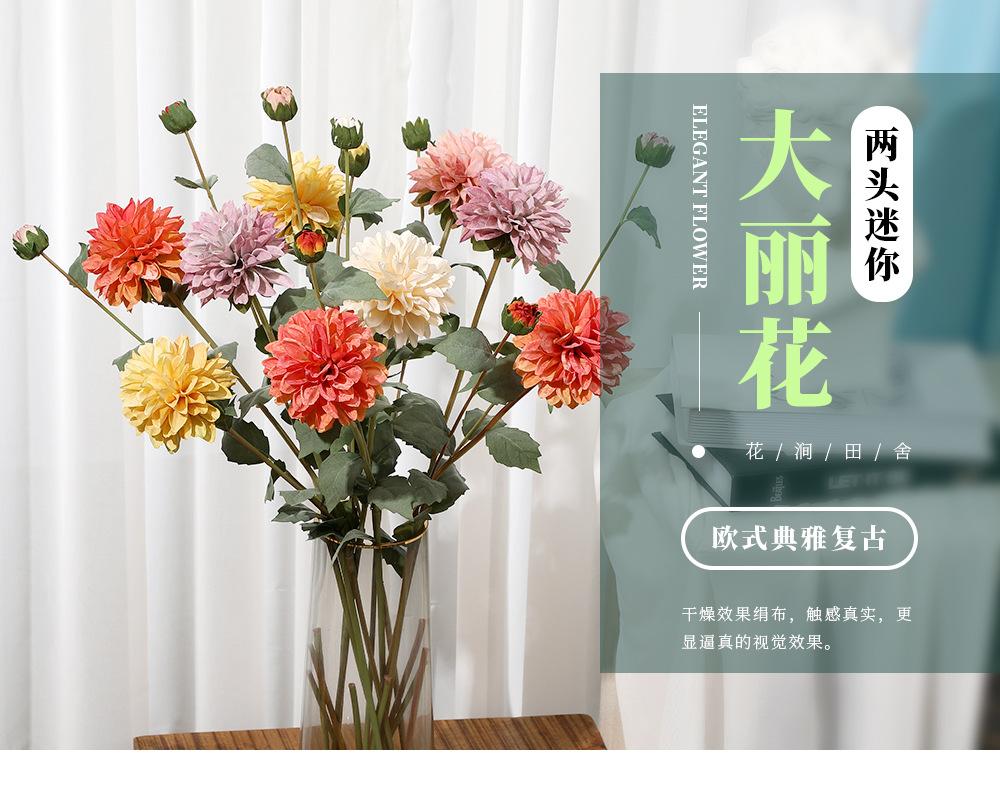 2头迷你大丽花_01.jpg