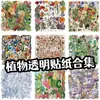 ColecciónNuevas Pegatinas Transparentes de PET Multi-Estilo de Plantas Frescas Retro Diario Material Decorativo DIY Venta al por Mayor
