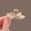 Lazo Ojo de Gato Pinza Pequeña para Agarre Accesorios para el Cabello Flequillo Delantero Pinza Pequeña Tocado Horquilla Semirrecogido Horquilla Accesorios para el Cabello de Alta Gama
