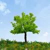 Sistema verde Árvore de bola ambiente árvore modelo árvore de arame modelo de árvore de arame mesa de areia modelo de planejamento árvore pequena paisagem simulação planta