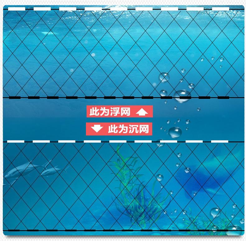 细8.jpg