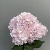 Flores Artificiales de Mini Hortensia de 5 Cabezas Transfronterizas, Materiales Florales para Bodas, Arreglo Floral de Pasillo, Flores Falsas, Arte Floral para Decoración de Bodas
