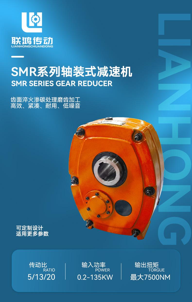 SMR轴装式减速机描述_02.jpg