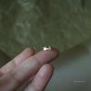 Xinzhemei Plata de ley S925 chapado en oro estrella de luz cartílago de la oreja hebilla para la oreja pequeño elegante lujo ligero lindo simple Femenino