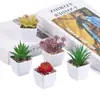 Planta Suculenta Simulada Vaso de Plástico Bonsai Mini Pequeno Quadrado Planta em Vaso Es0510 Alta Simulação Planta Verde