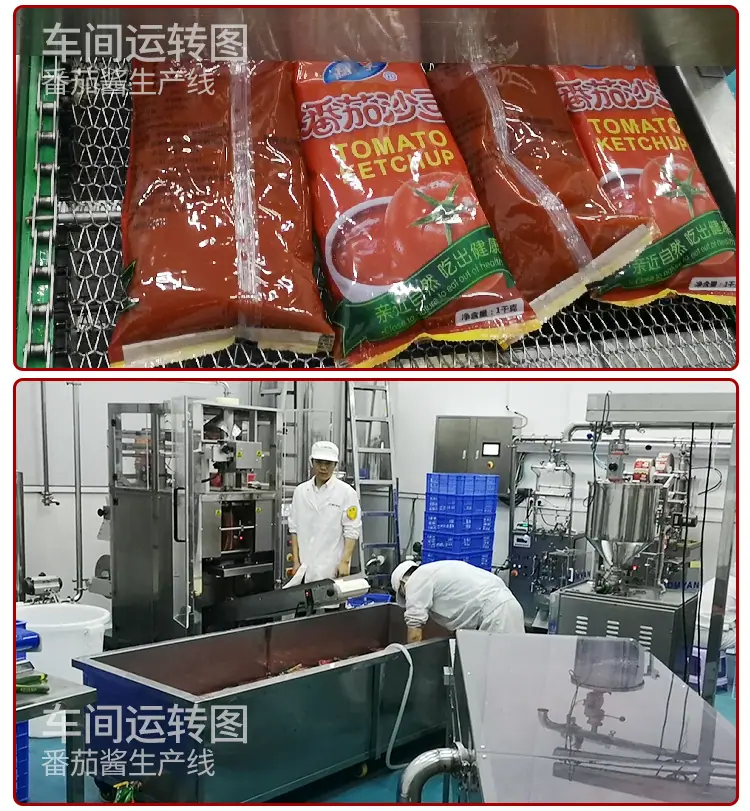 南洋番茄酱加工生产线_11.jpg