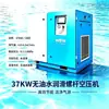 Compressor de Ar Parafuso Isento de Óleo Lubrificado a Água de 37 kW, Conversão de Frequência com Ímã Permanente, Unidade Única|Unidade de Fonte de Ar Completa Todas Disponíveis