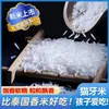 Arroz Diente de Gato de Primer Grado Arroz en Terrazas Producido en Guangxi Arroz Tardío Arroz Nuevo Arroz en Cazuela de Barro Arroz Frito Arroz de Grano Largo Aromático Venta al por Mayor