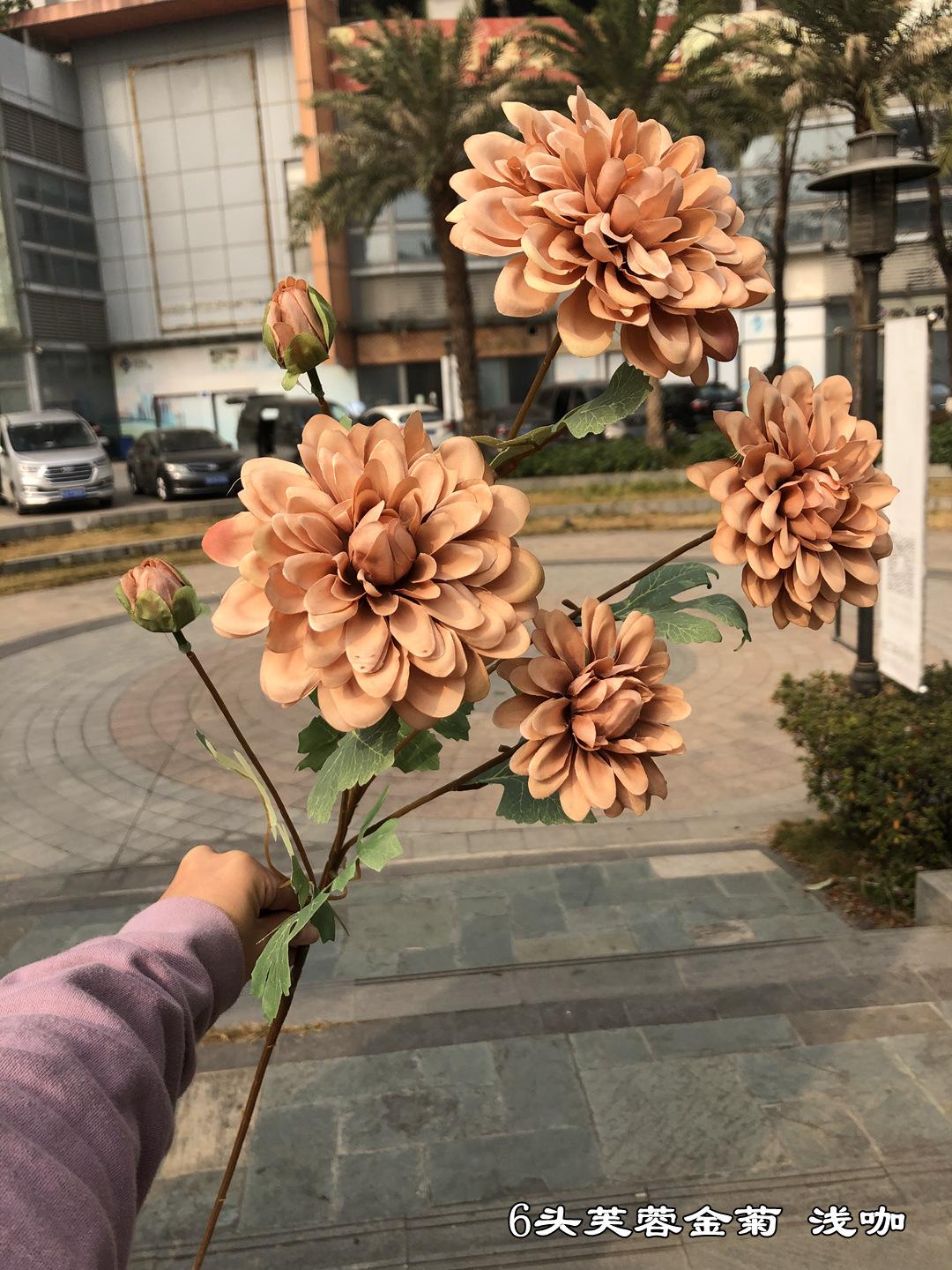微信图片_20210116110235.jpg