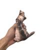 Almohada Personalizada con Forma Especial de Personaje Sin Bordes Blancos, Muñeco de Mascota Gato y Perro Feo, Retrato, Muñeco de Regalo Artificial Hecho a Medida con Foto