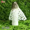 Modelo de Hongo Hongo Silvestre de Yunnan Espécimen Falso Adorno Decoración Escena Montaje Accesorios para Disparar Matsutake