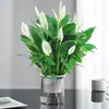 Plantas de Alocasia em vaso, Lírio da Paz, plantas verdes, flores de interior, antúrio vermelho hidropônico, plantas verdes, Árvore da Fortuna, formaldeído