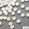Nueva celebridad de Internet talla de resina grande y pequeña accesorios para uñas de Camelia rosa degradado floreciente joyería para uñas de rosa