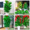 Planta en Maceta de Rábano Verde de Hoja Grande Columna Absorbe Formaldehído, Planta Verde Grande en Interiores para Atraer Riqueza y Prosperidad, Rábano Verde de Oficina, Sala de Estar Es Fácil de Mantener