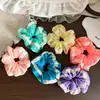 Nuevas Gomas de Pelo, Cuerdas para el Pelo y Diademas de Malla con Encaje de Colores para Niñas
