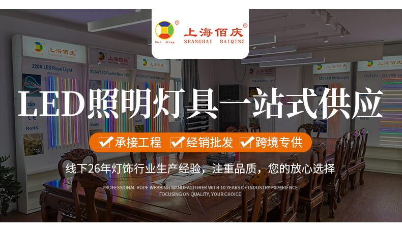 白光12V_01.jpg