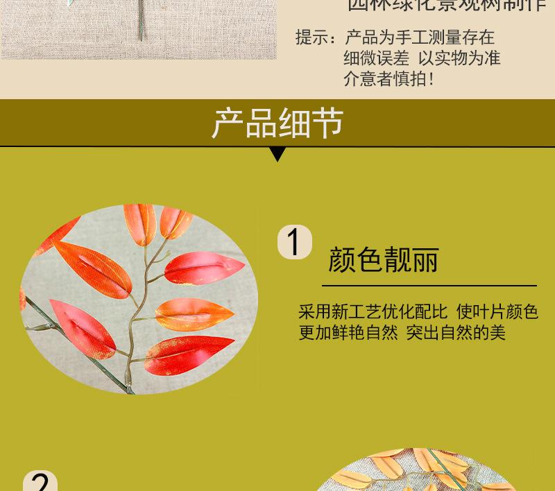 详情3.jpg