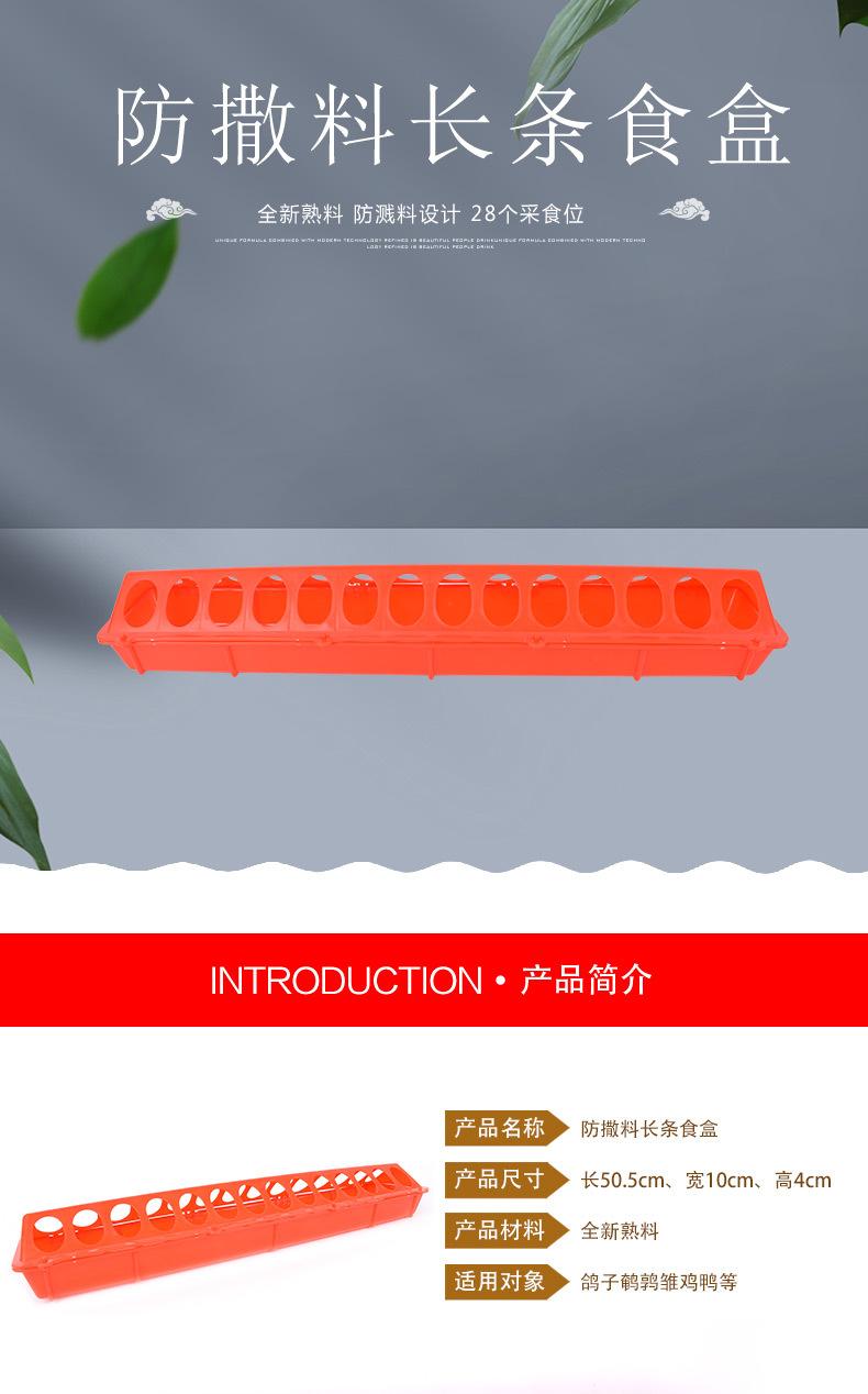 详情_01.jpg