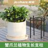 Zhixiao Suprimentos de Jardinagem Personalizados Suporte para Orquídea Garra de Caranguejo 11mm Pilar de Flores Suporte Elegante Pode Ser Usado por 10 Anos