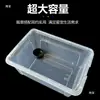 Caja para Mascotas Reptiles para Cangrejos Ermitaños, Geckos, Ranas Cornudas, Hámsteres, Grillos, Lagartijas, Tortugas; Caja para Terrario de Reptiles
