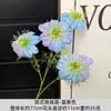 Flores de Clematis, Flores de Cordyceps, Flores Gesang de Quatro Cabeças, Arte Floral Degradê Bicolor, Decorações de Casamento no Jardim de Monet, 15 Cores Disponíveis