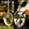 Lindo jarrón colgante de cristal con forma de huevo de Mingxuan, jarrón hidropónico creativo, accesorios para el hogar