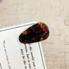 Pasador de Acetato Estrella de Alta Gama para Mujer, Artefacto Coreano para Flequillo Roto, Pinza de Pato para Flequillo Lateral, Pinza de Una Pieza a la Moda