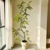 Escenario Arcoíris Marino Planta de Oreja de Mono de Hoja Densa Planta Verde Artificial Árbol Falso Sala de Estar Interior Planta en Maceta Artificial Decoración Flor Artificial