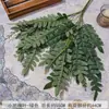 2026 Nuevo Modelo Plantas Verdes Artificiales Hierba de Espárrago Asparagus Asparaginea Decoración de Boda Flores Falsas Verdes Paisajismo Fotografía Plantas Verdes Estilo Bosque
