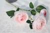 3 Cabezas lasaña lasaña lasaña lasaña Camelia flor de simulación océano peonía peonía flor artificial boda decoración de boda accesorios para sesión de fotos