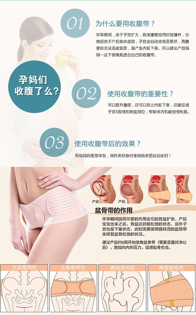 条纹盆骨_02