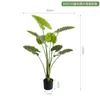 Plantas Artificiais Estilo Nórdico em Estoque para Atacado, Planta Artificial de Taro Torto, Plantas Verdes Falsas para Paisagismo, Plantas em Vasos para Decoração de Piso Interno para Sala de Estar