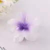 Nuevo pasador de pelo acrílico de frangipani de colores, pinza de flor, accesorio para el cabello elegante y sofisticado para mujer, pinza de tiburón lateral