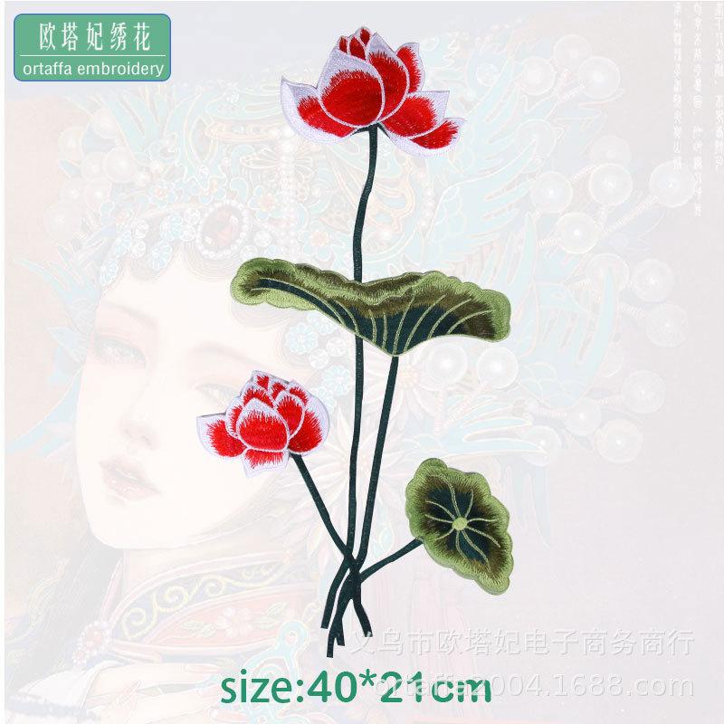 荷花8.jpg