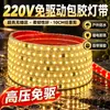 Seleção Premium220V LED Colorido Exterior À Prova D'água Água Corrente Muda de Cor Tira de Luz Tira de Luz Flexível para Exterior