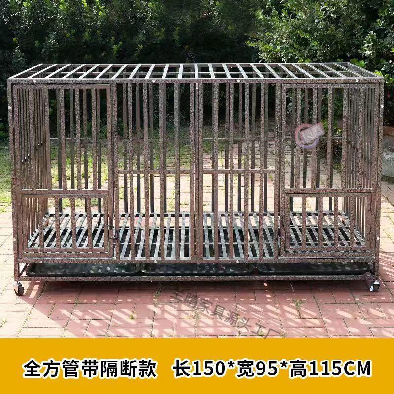 d63f21eb-b67d-425e-8aab-9bfa054f67fc.jpe
