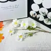 5 Flores de Orquídea Artificiais para Decoração de Casamento, Arranjo de Flores para Corredor, Arranjo de Flores para Teto de Hotel, Flores Artificiais para Exportação