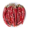 Chile Seco, Extra Picante, Importado de India, Chile Seco, Pimienta Marina Extra Aromática, Rey del Chile Picante, Chile Seco Comercial